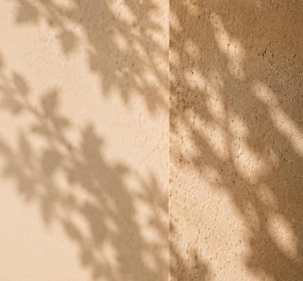 Shadows of leaves falling across a warm plaster wall